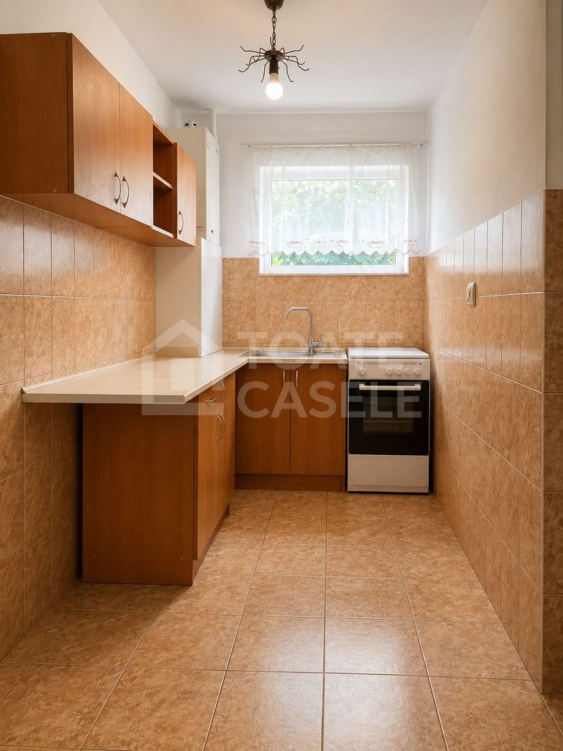 Apartament cu 1 camera, zona Profi - Grigorescu - Poză 3