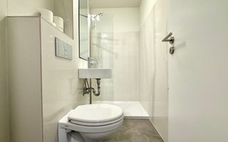 Apartament cu 1 cameră în zona centrală - Piața Unirii-Parcul Botanic - Poză 11