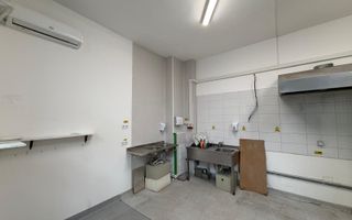 INCHIRIERE SPATIU COMERICAL | PARTER | TRAFIC INTENS | MAGHERU | 53MP - Poză 7