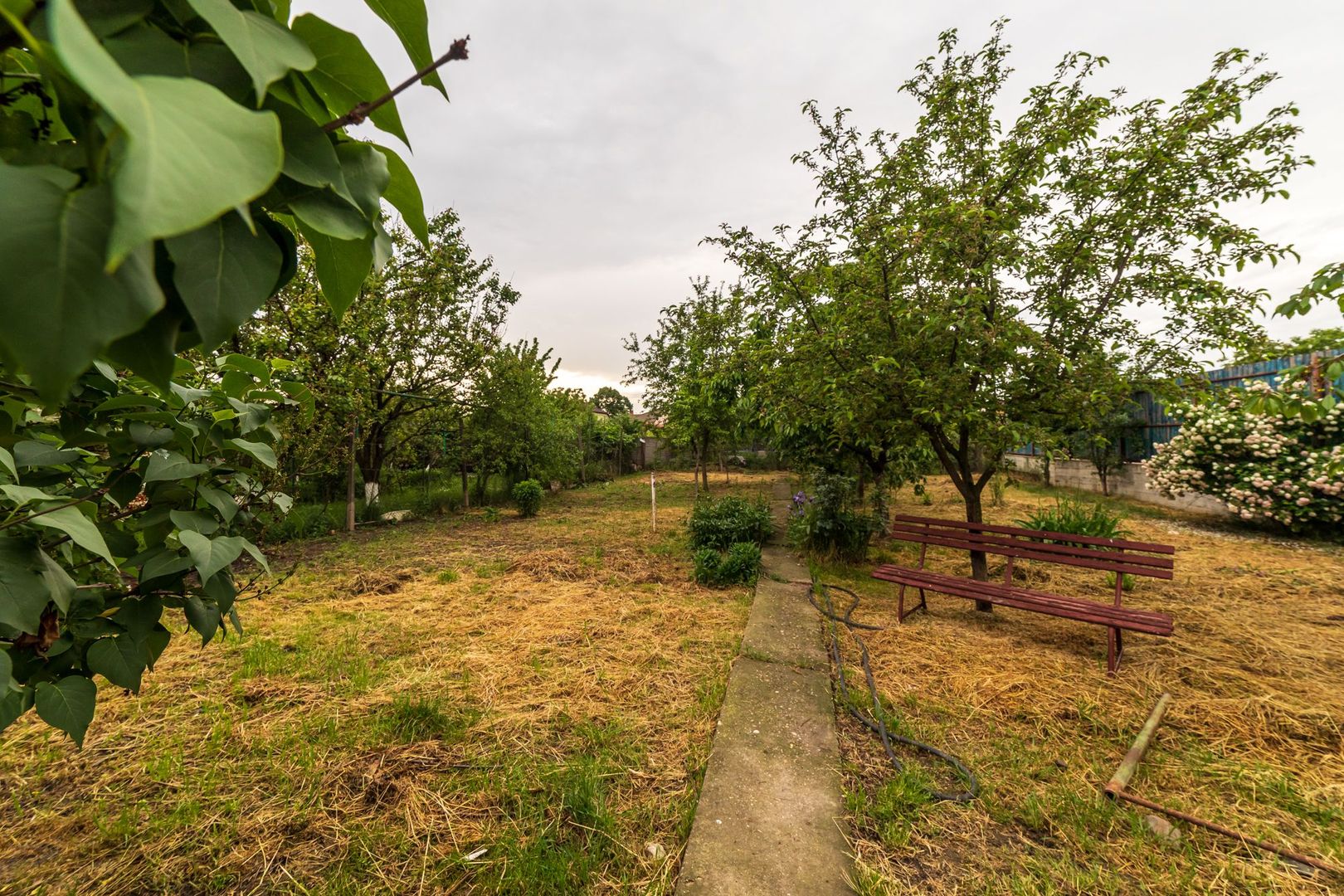 REZERVAT!  Preț fix redus!Casă multifamilială zona Pârneava - Poză 3