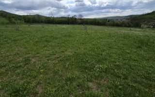 Teren 2,4 Ha cu utilități-Oportunitate Investitie-Herina - Poză 1