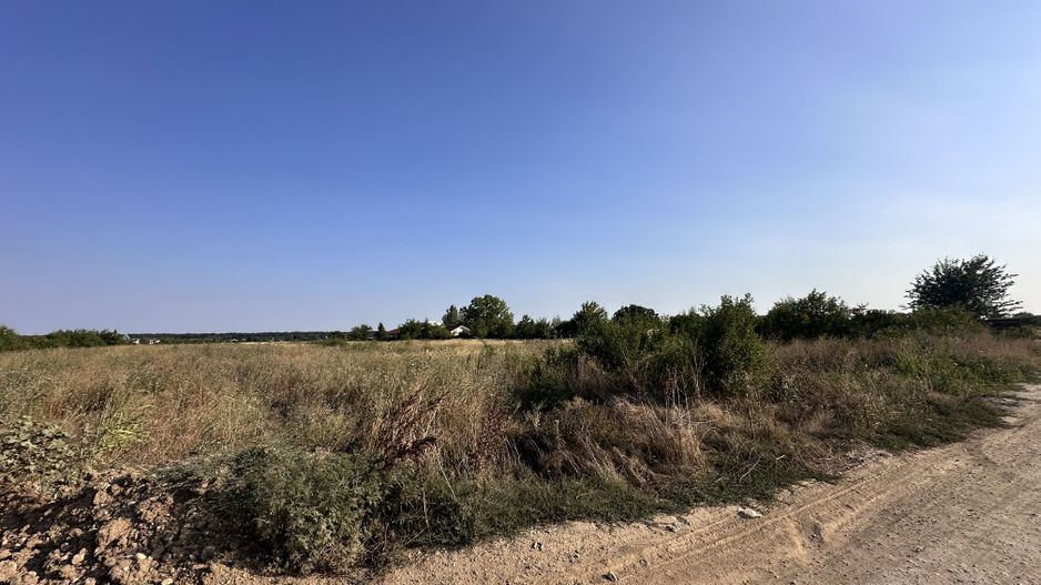 Teren Tancabesti intravilan iesire la lac Snagov - Poză 8