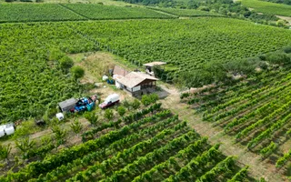 Vie Tradițională „Halta Lupilor” - Poză 26