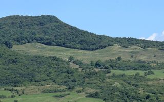 Teren 20 Ha-impadurit-ideal investitie, Fonduri Europene-Dumitra - Poză 2