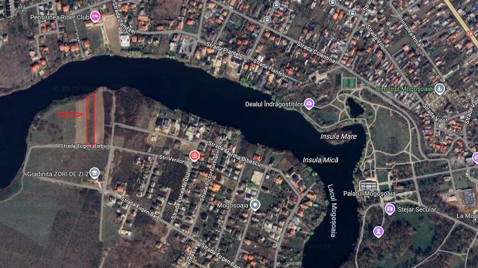 Teren 4000mp Mogosoaia|Strada Eugen Barbu|deschidere lacul Mogosoaia - Poză 2