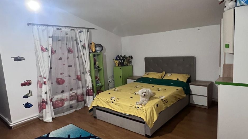 Casă spațioasă cu piscină, de vânzare în Simeria - Poză 23