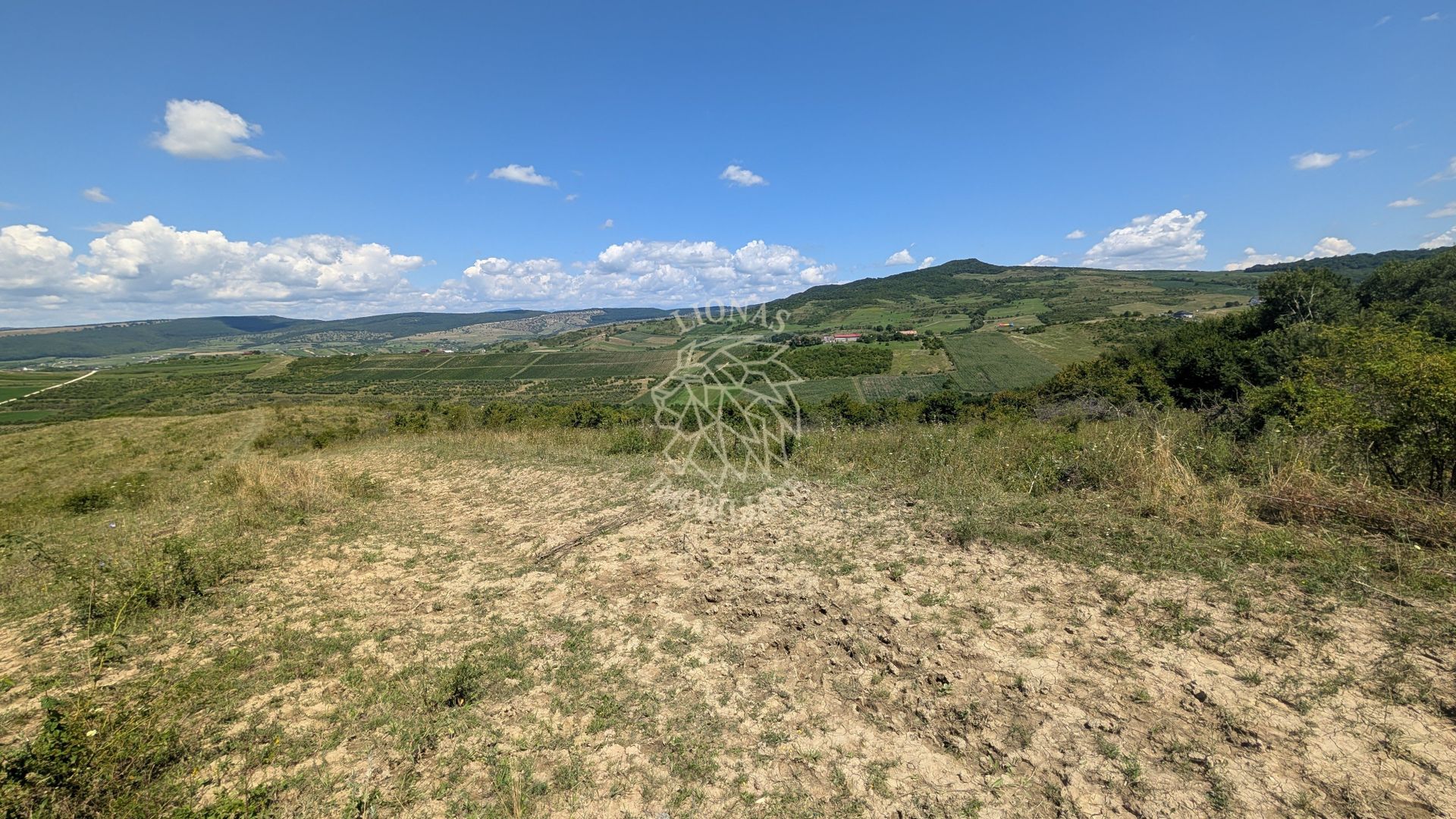 Teren 20 Ha-impadurit-ideal investitie, Fonduri Europene-Dumitra - Poză 2