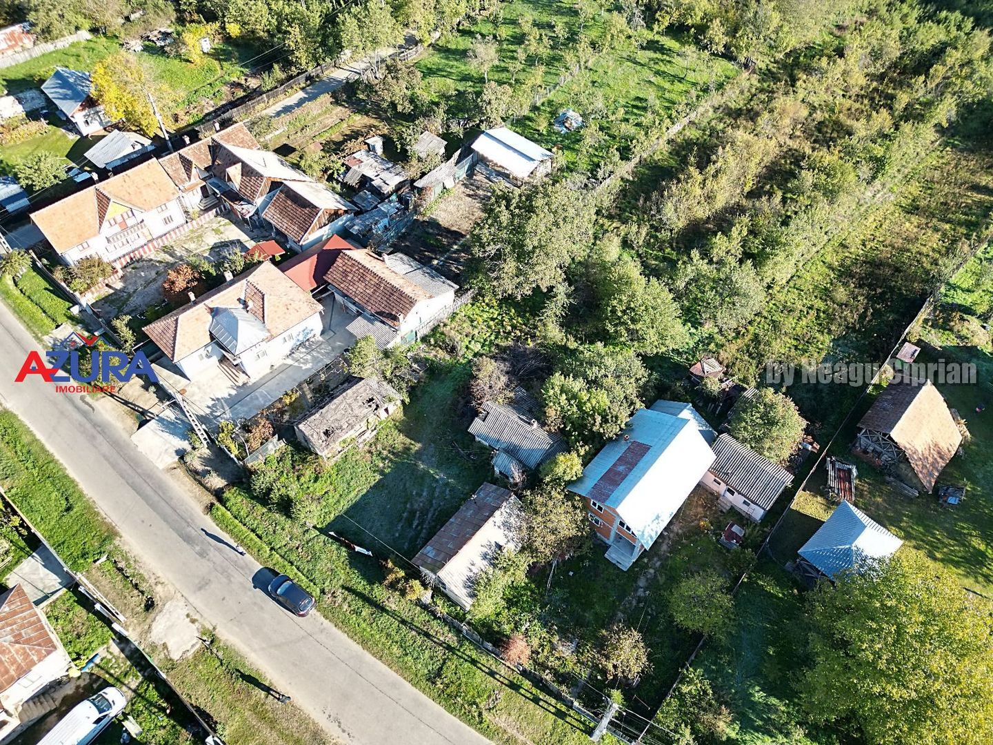 Vanzare teren 3300 mp, intravilan, Albota - Mares - Poză 7