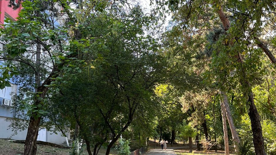 3 camere | Floreasca | Dorobanti | Beller renovat utilat - Poză 22