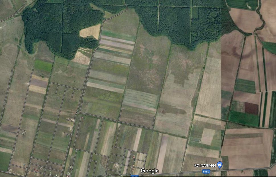 TEREN MOSNITA VECHE-pt investiție - Poză 1