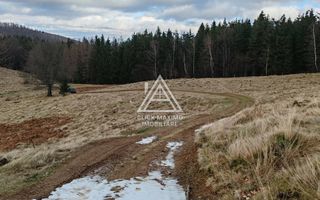 19.5 Hectare în Zona Turistică Montană – Bulz, Bihor - Poză 3