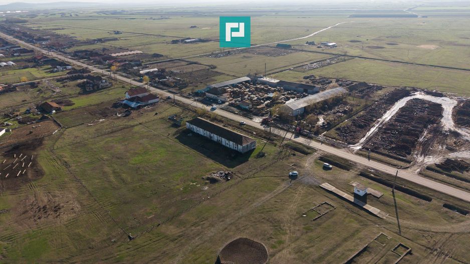 Hală industrială cu teren generos în Zărand, Arad - Poză 33