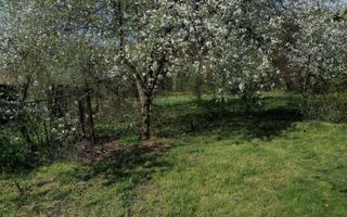 Teren intravilan.Suprafata 1200 mp.Localitatea Moreni.Str. Eroilor  16 - Poză 1