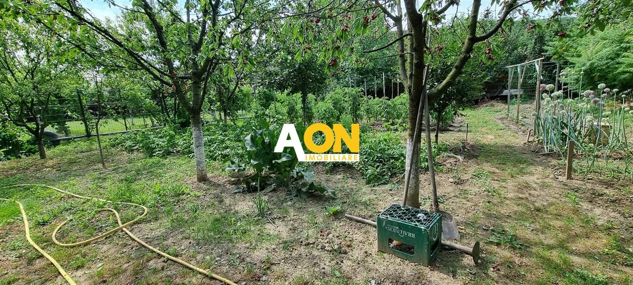 Casa Individuala 4 Camere 1000mp Teren, Sard, com. Ighiu - Poză 18