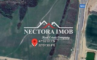 NECTORA IMOB-Teren Zona Osorhei, 5500 mp, 21 ml Front, 210 ml adancime - Poză 4
