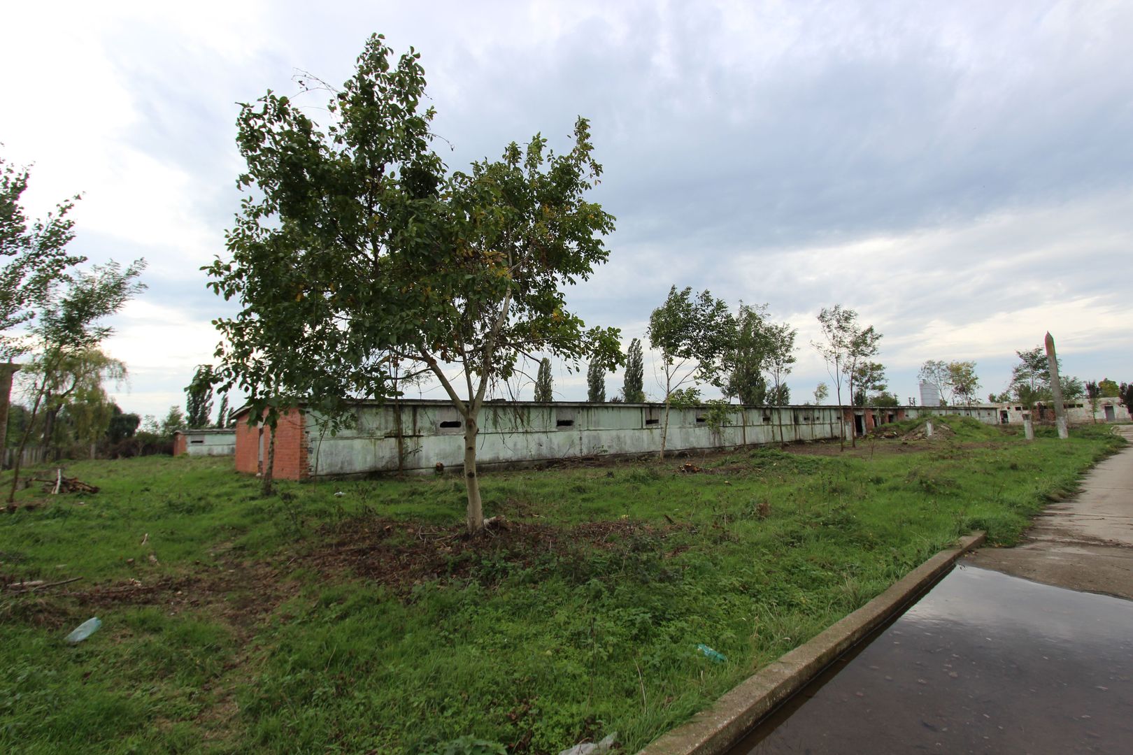 Vanzare hale Mosnita Noua-fosta Ferma 7 - Poză 2