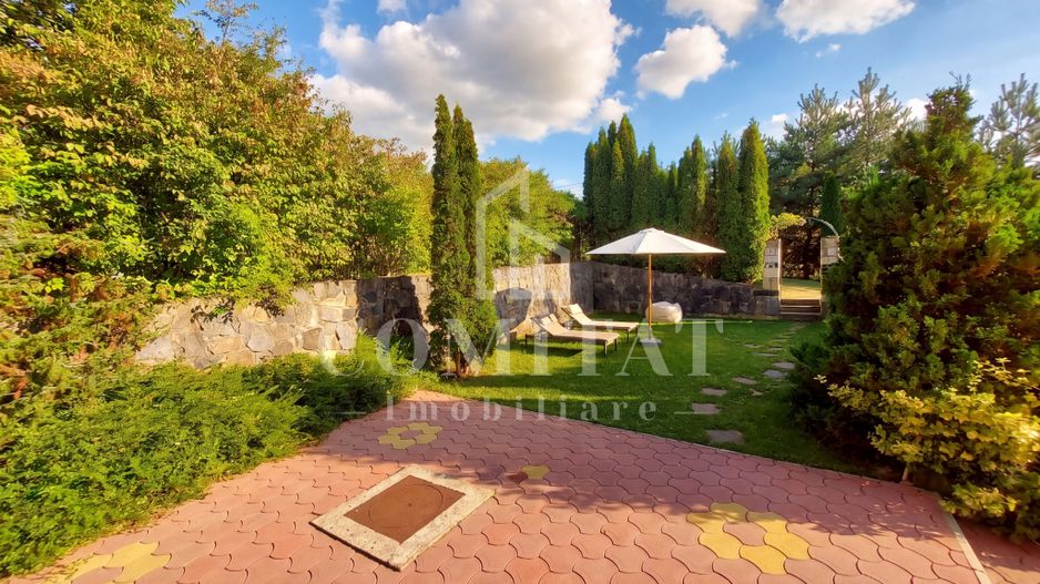 Vilă în Făget | Sediu companie | 2.412 mp teren 8 parcări - Poză 4