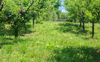 Casă săsească autentică în Bruiu (Sibiu) - Poză 17