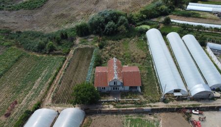 Casă individuală S+P+1E | 248 mp utili | Teren 1.322 mp | Băleni Sârbi