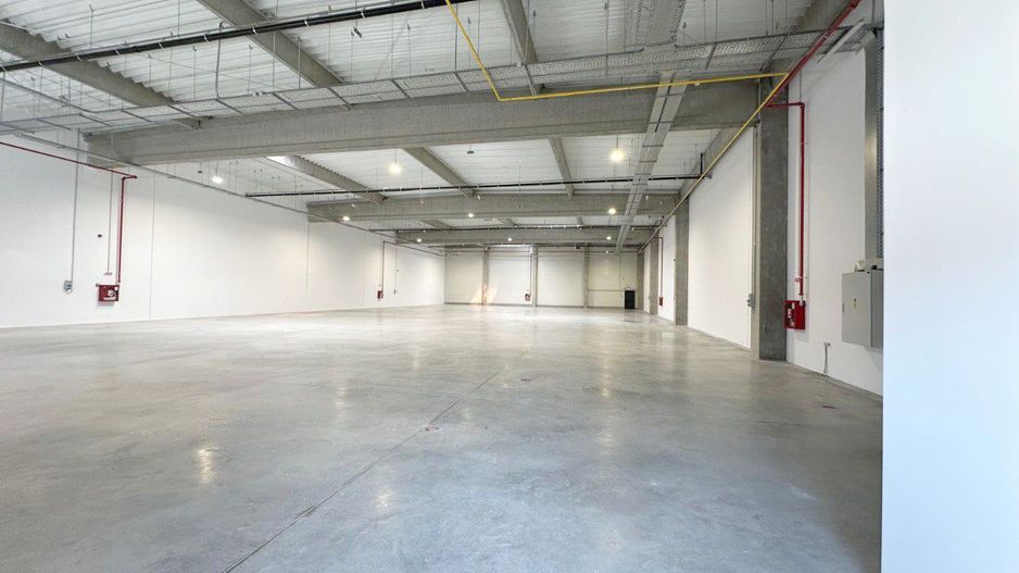Hala industriala moderna – 1.162,05 mp depozit | Arad - Poză 3