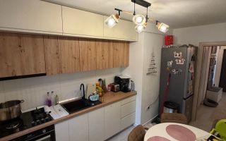 Apartament 2 camere, 58 mp + terasa 21 mp + gradina 40 mp, Rediu, zona Lac - Poză 5