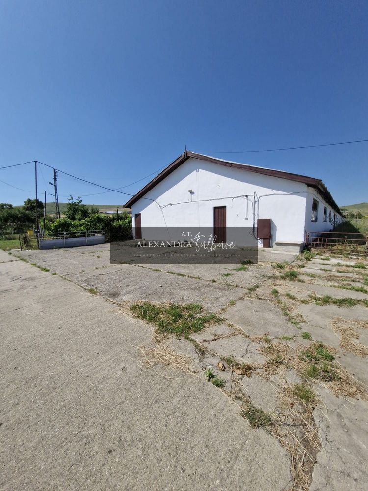 Ferma/ Hala industriala de vanzare, Bogata, Cluj - Poză 3