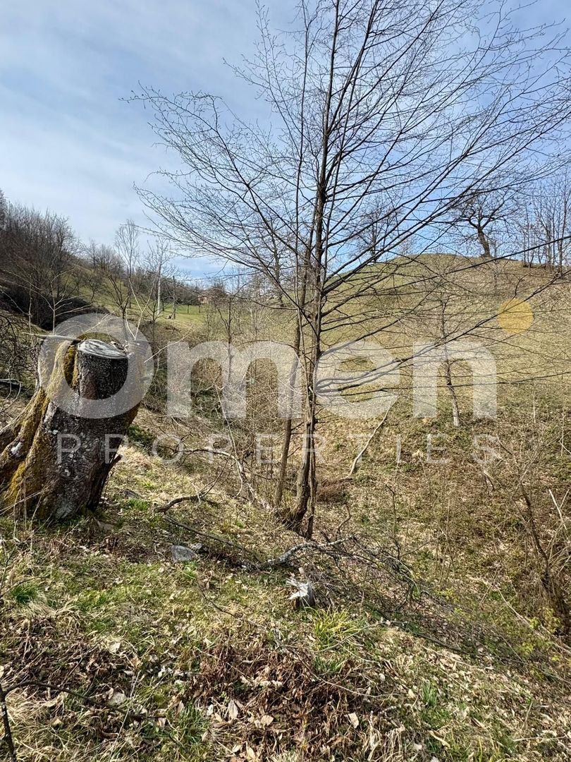 Teren intravialn | 6476 mp | Ulmoasa | zonă superbă - Poză 4