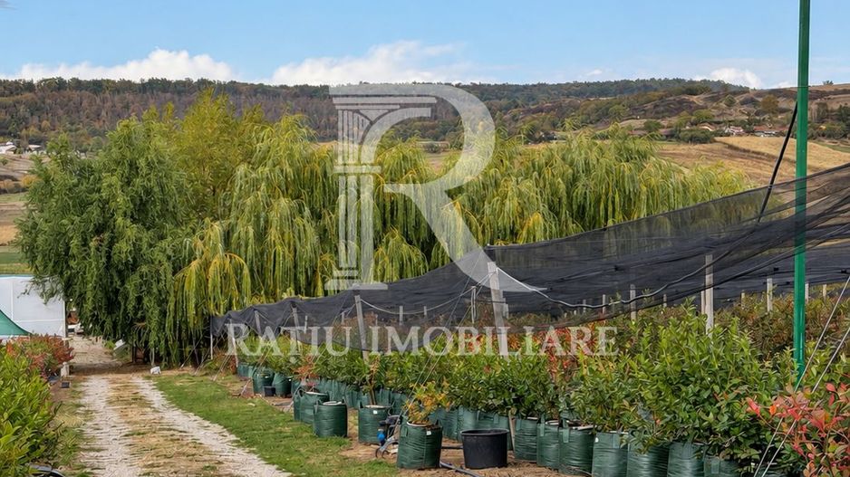 Afacere agricolă la cheie | Plantație afine | Solarii | 18.800 mp - Poză 1