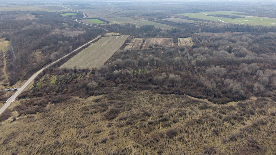 Teren extravilan 95.23 ha lângă Caransebeș - Poză 11