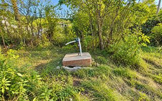 LOT POMICOL DE VÂNZARE – 5,7 ARI | IALOVENI  Î.P. „Floare-Carpet - Poză 7