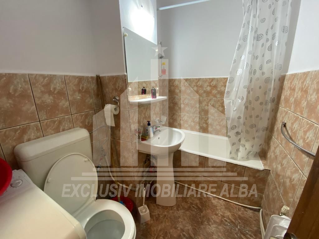 Apartament cu o camera in Cetate - Poză 6