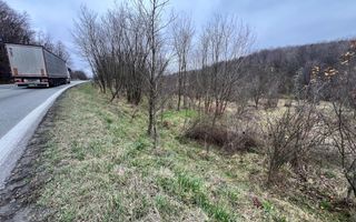 Teren intravilan 6.500 m²–Deschidere 144 ml drum european E81, km 35, Morăresti - Poză 2