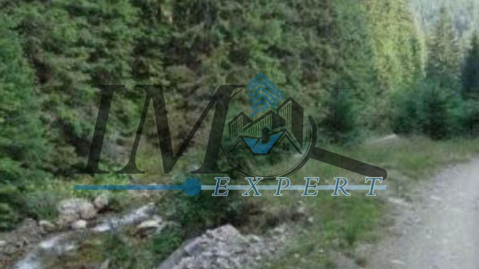 Teren de vânzarepadure  in Cugir 10.644mp - Poză 3