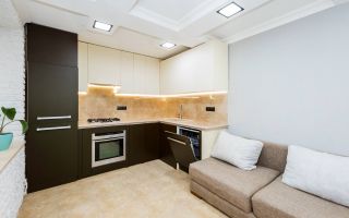 Vânzare, apartament, 2 camere, str. Calea Ieșilor, Buiucani - Poză 2