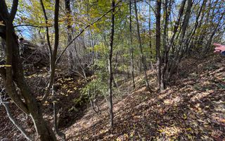 TEREN INTRAVILAN 13167 MP BUGHEA DE SUS ARGES - Poză 22