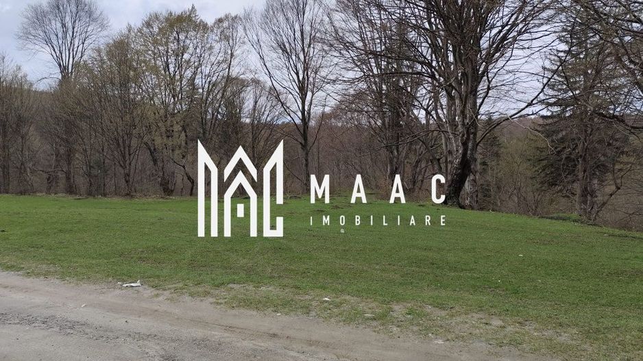 Teren Intravilan |2000Mp| Valea Avrigului - Poză 4