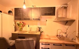 2 Camere Ultracentral | Zona Ferdinand | Modern | Curte comună - Poză 3