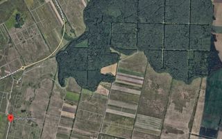 Teren zona Mosnita Padurea Bistra - Poză 1