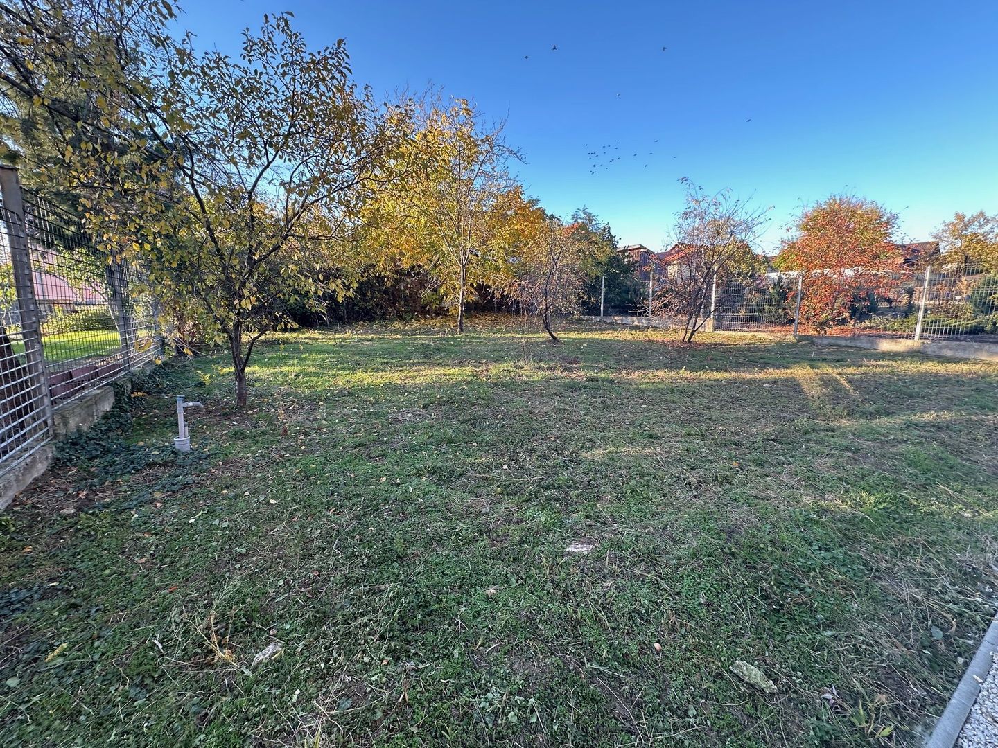 Casa Parter in Giarmata  teren 816 mp - Poză 1