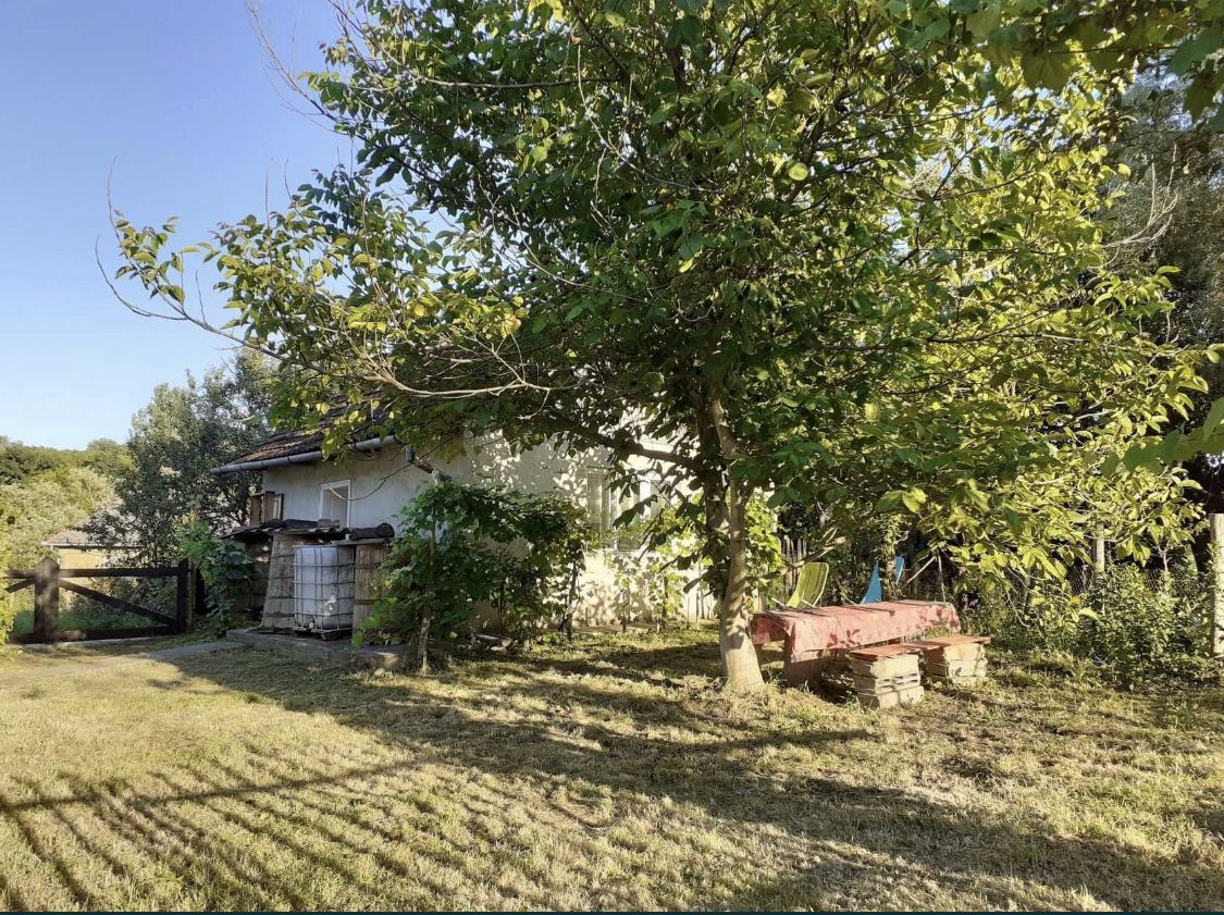 Vand casa cu gradina 4000 mp ca 12 Km de statiunea geotermala Tasnad - Poză 8