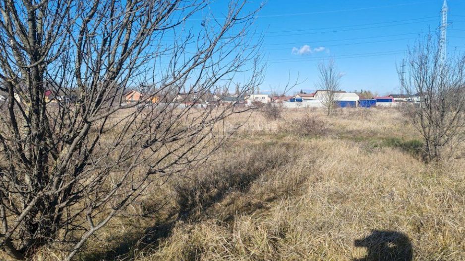 Teren Joita -  Bacu - Dragomiresti - Poză 5