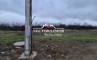 NECTORA IMOB-Teren Intravilan 501 mp, cu front 19ml, Nojorid,Utilitati - Poză 3