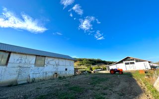 Ferma de vanzare cu 550MP utili si 27.500MP teren la asfalt - Poză 5