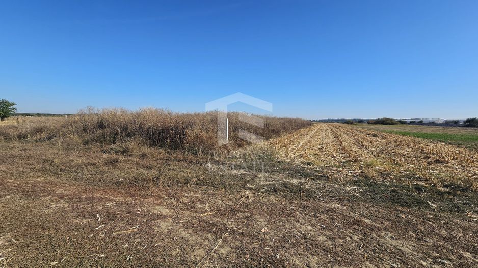 Copăceni - Ilfov - Teren intravilan arabil de vânzare - 1.148 mp - Poză 1