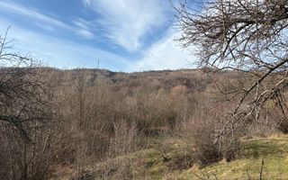 Teren  extravilan I 5300 mpI  Salatrucel -Calimanesti - Poză 4