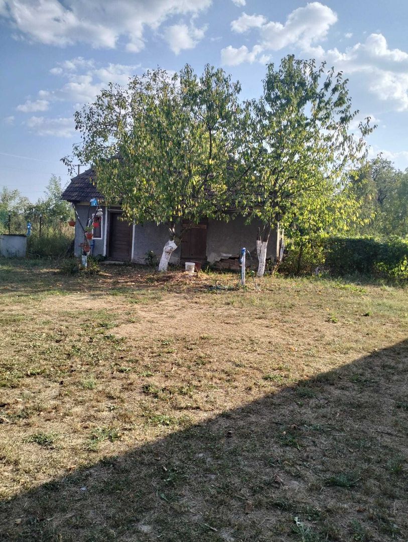 Casa 81mp, teren 81 ari, anexe, pomărie tânără de meri de vânzare - Poză 7