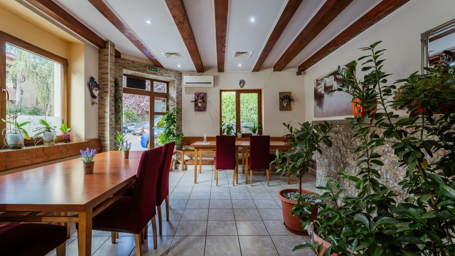 Afacere HoReCa de preluat – Pizzeria Venezia, Arad - Poză 3