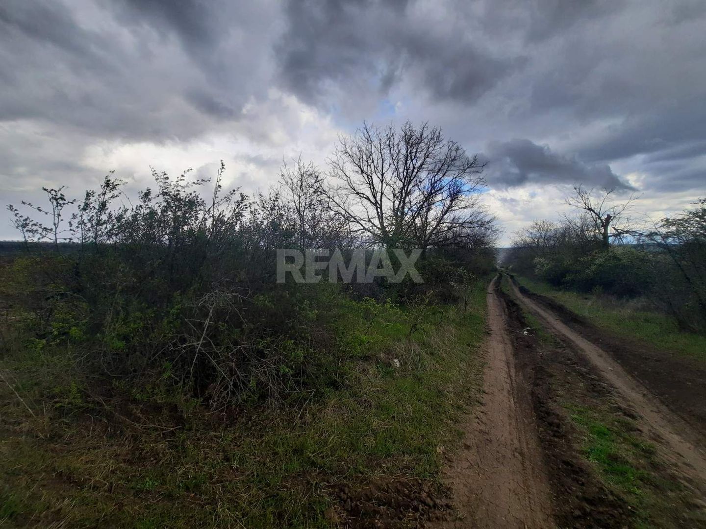 Teren agricol, Boșcana, 20 ari - Poză 2