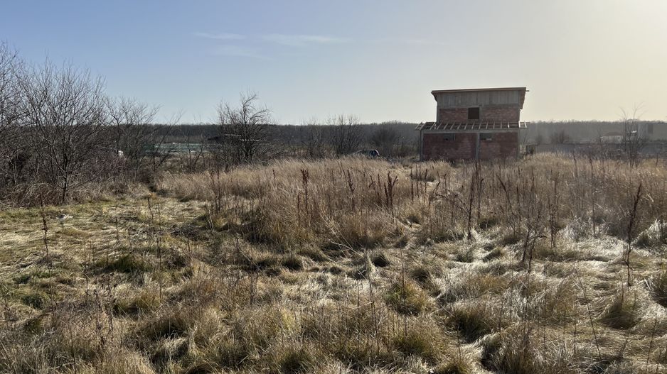 Teren Balotesti - Privighetorilor (Parcului Edenland) - Poză 4