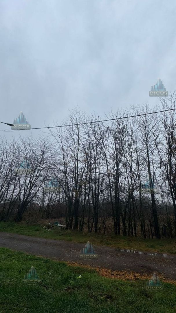 Teren intravilan Drumul Fermei - Poză 2